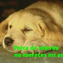 Edwin barrientos - @ed_a007 - Twitter