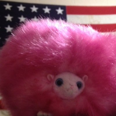 ~Little Pink Pygmy Puff with a conscience~ RAC Representative ~ Don't be starchy