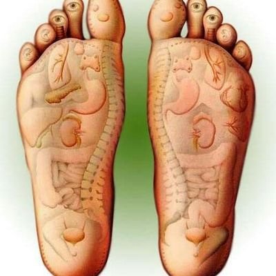 de1d76e75ac4456's profile picture. 