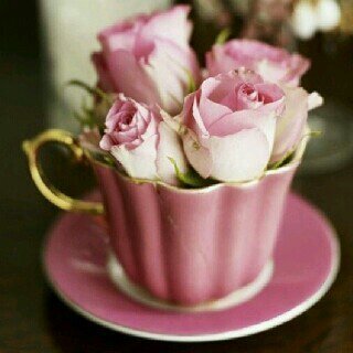 God with me, and that's enough for me!/ ( الخاص ممنوع ) ← إكراما لمن تعب في تربيتي /فلو مي =فلو باك /أنفلو=أنفلو تو /