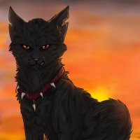 Broken (@robbed_of_love) 's Twitter Profile