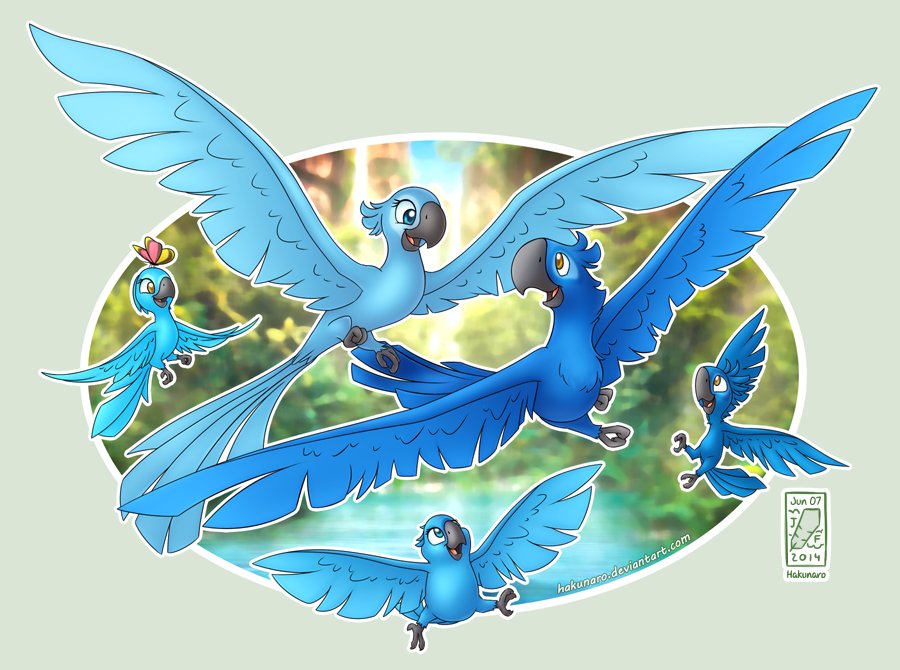 I really liked the two works by Carlos Saldanha (Rio and Rio 2), but I prefer the second for certain personal things. Drawing much the couple (Blu and Jewel) .