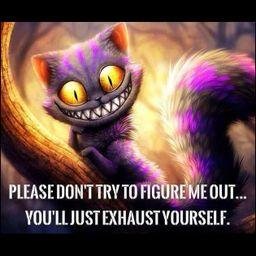 JimathyMan's profile picture. Only the insane equate pain with success.