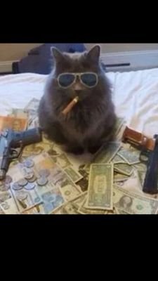 BRAZIL_2K14FR's profile picture. 