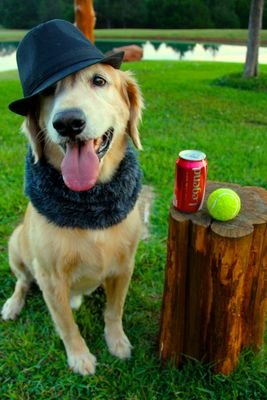 lmansell60's profile picture. Jesus ❤️❤️ Family ❤️❤️Teach Art❤️❤️