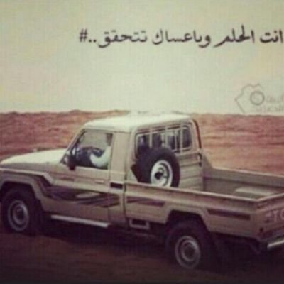 asdksas's profile picture. 