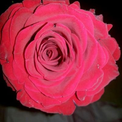 ‏أحب الخير..وهمي رضى ربي..يهمني متابعتك أختي الغالية