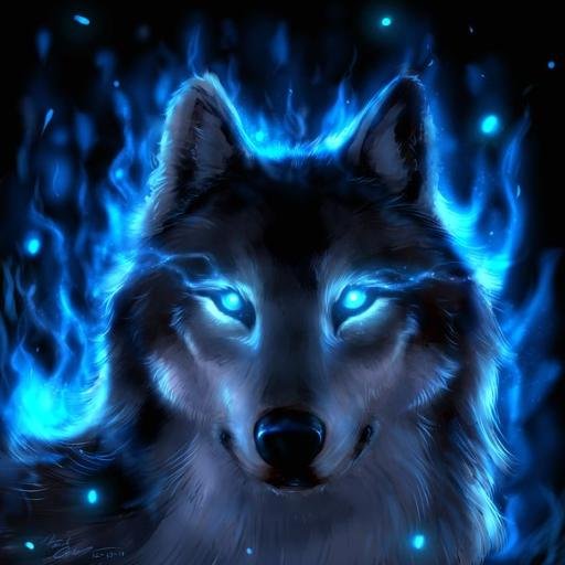 NCizmek Profile Picture