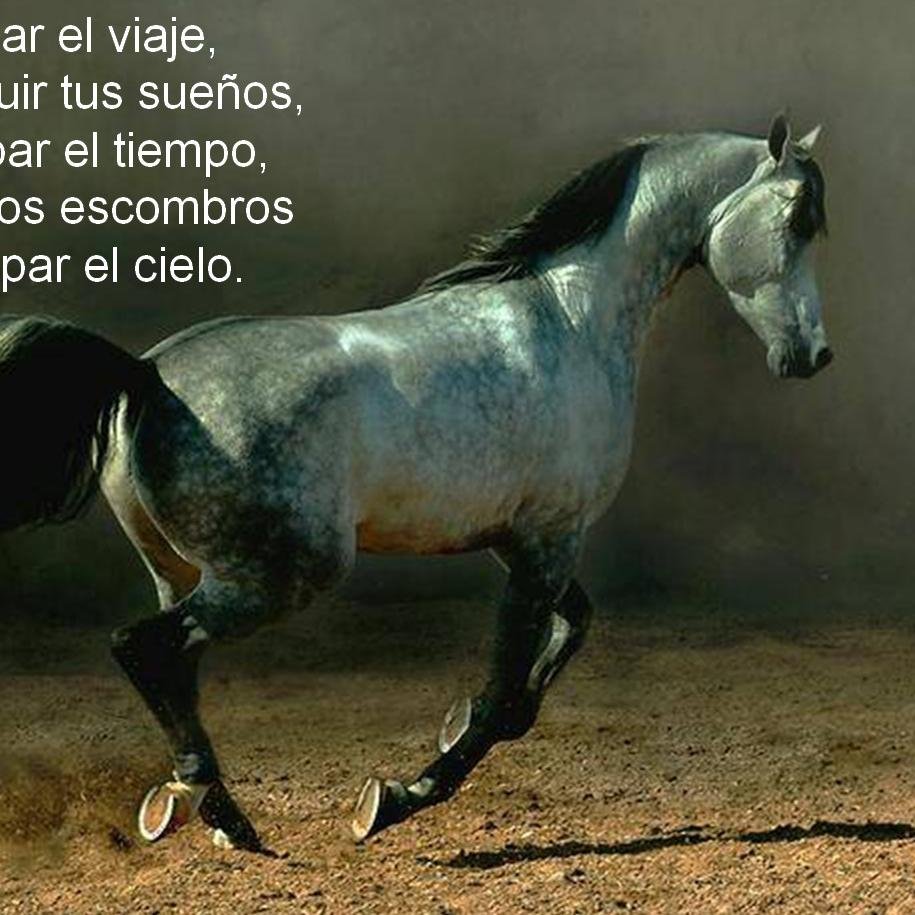 Economista La dicha de la vida consiste en tener siempre algo que hacer, alguien a quien amar y alguna cosa que esperar.