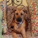 Jane Brogan - @mokie1355 - Twitter