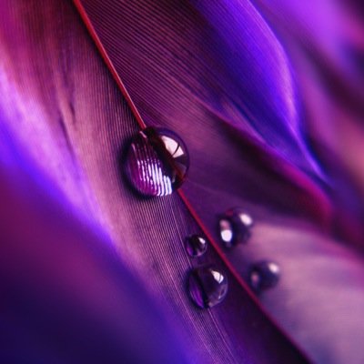 ozlemalp1973's profile picture. 