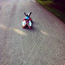 Ben Feistritzer - @F_Tank56 - Twitter