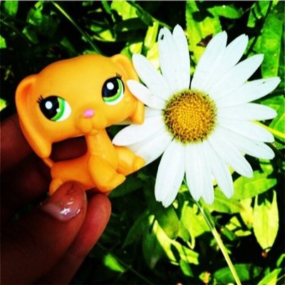 lps_big_fan's profile picture. Hi I am a lps fan I don't tell apps and I will be on a lot do my quiz kk i love my fans get me too 1k