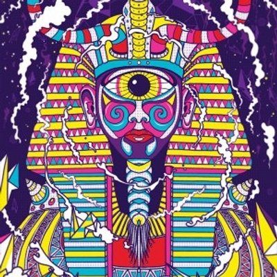 trippy tweets tripinatweet twitter