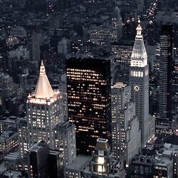 whoyourenot's profile picture. Lost