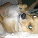 sam denning - @kalman548 - Twitter