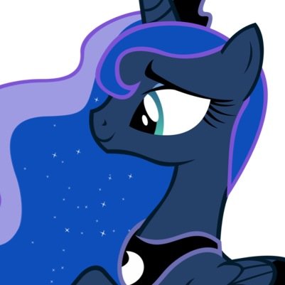 Princess of the Night and the ponies in Equestria.