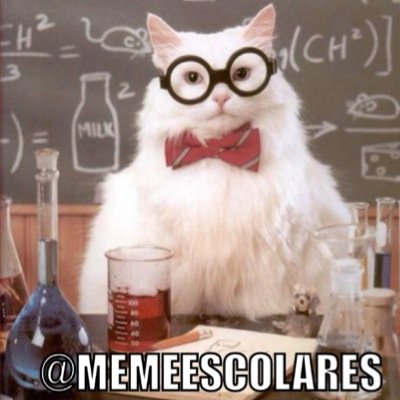 Los mejores memes Escolares estan aqui, siguenos y envianos tus mejores Memes Escolares. Parodia.
