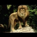 Rafael Espinosa - @QmYWYCB48EQnlDZ - Twitter