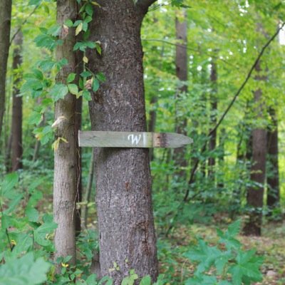 mrs161's profile picture. 