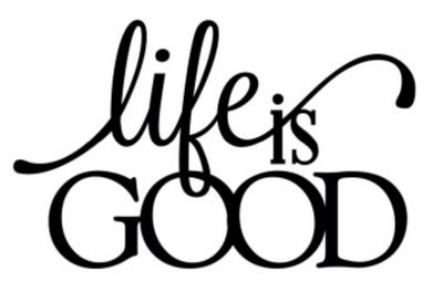 Sometimes life sucks, I'm just trying to enjoy it when I can