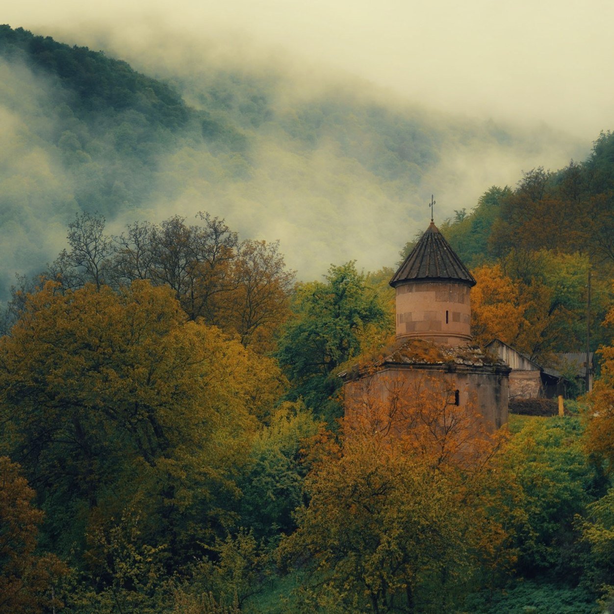 rayan56074005's profile picture. 