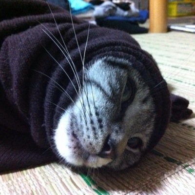 谷口直之