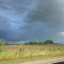 Kari Root - @kari_root - Twitter