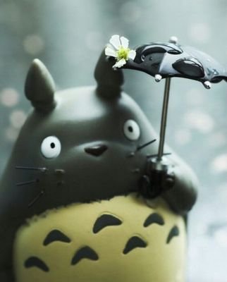 ememcherry22's profile picture. ジブリ垢-★千と千尋が一番好き♡ジブラーさんフォローお願いします( • ̀ω•́  )✧&フォロバします!!