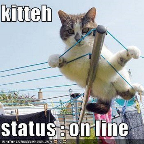 crazypics_pics's profile picture. I post many pics some might be crazy or funny or something like that❕