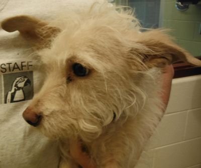 01greenen's profile picture. Love God, Country, and family.