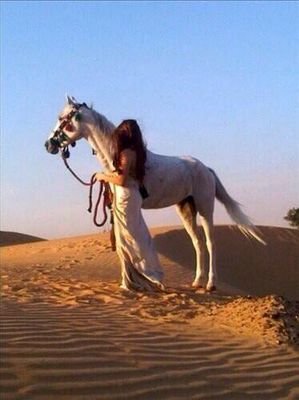 ابحث عن الحب في زحمة الناااااس