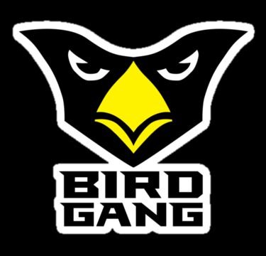 BirdgangArizona's profile picture. 2018 IS OUR YEAR!