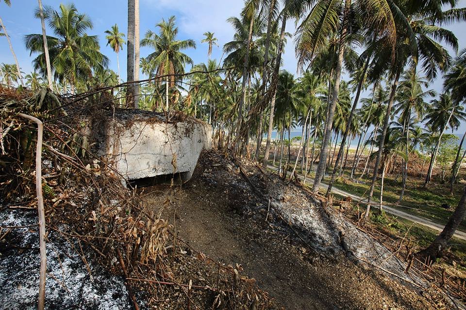 LianGiegie's profile picture. 