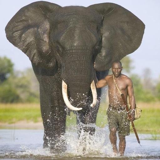 I don't want to protect the environment, I want to create a world where the environment does not need protecting.