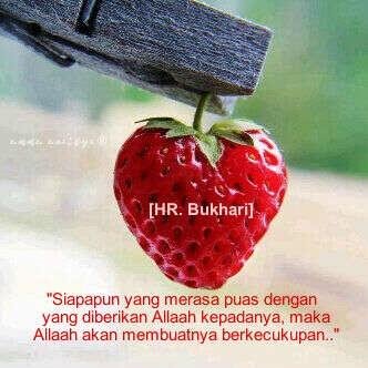 Be grateful,Patient,Sincere |  Pencinta Rasulullah | Thank you Rasulullah without you I'm nothing..