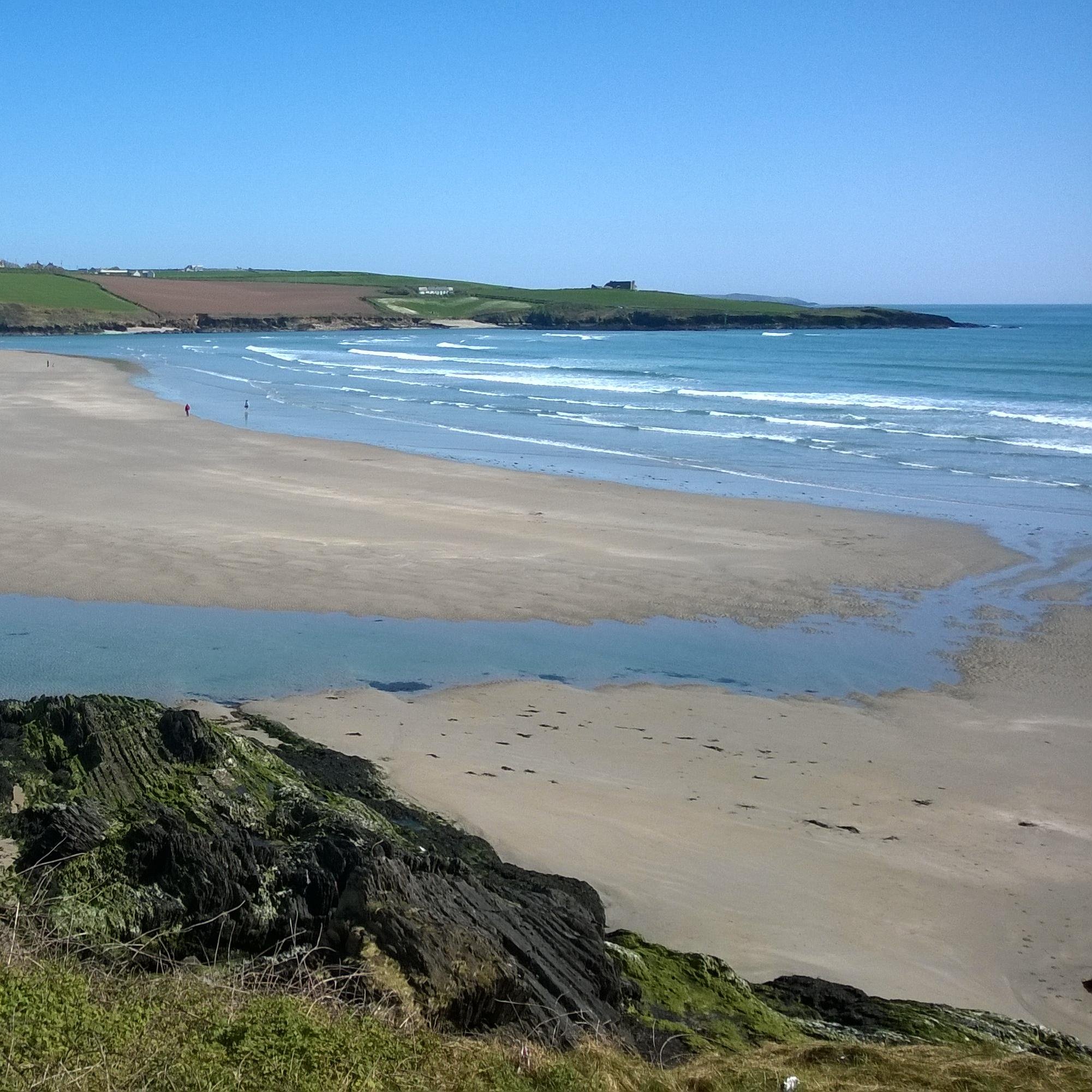 DamJou's profile picture. 