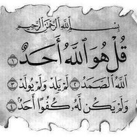 Warda Albakri (@wardaalbakri) 's Twitter Profile