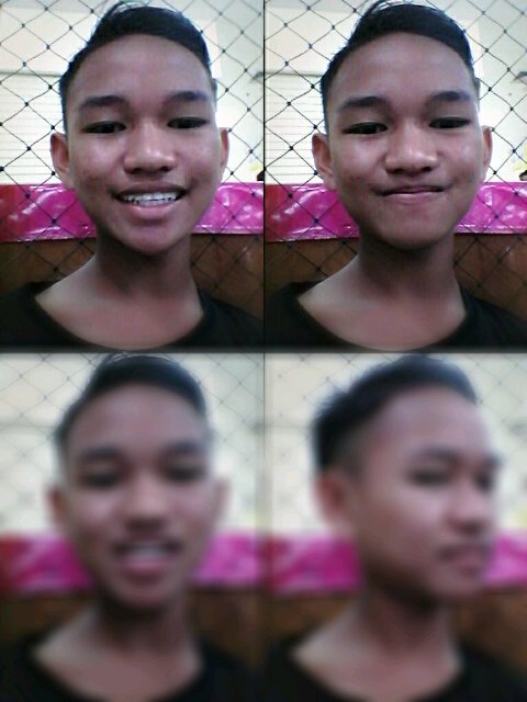 Stay with Sasahade▲