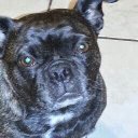 Mike Dillow - @dillow797 - Twitter