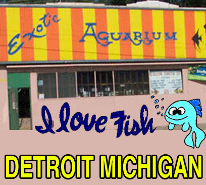 Exoticaquarium's profile picture. Detroit's Best Tropical Fish Store