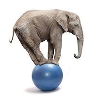 #BalanceNG - The Software #LoadBalancer - TELCO GRADE - BACKDOOR FREE - EMBEDDABLE - available for #RHEL, #AlmaLinux, #RockyLinux, #Debian and #Ubuntu.