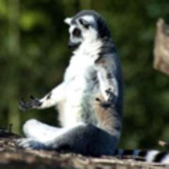 Lupi_33x's profile picture. Opinions expressed are someone else's.  
Retweets are not endorsements. 

Permanently Reply Deboosted by Twitter