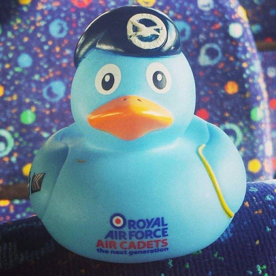 CdtHQuack's profile picture. ACO DUCK