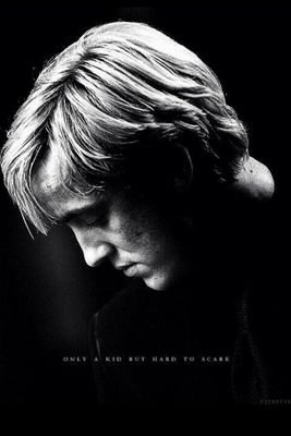 PurestOfBlood's profile picture. Call me ferret and you'll be no more. (Multi #HPRP, 18+.)