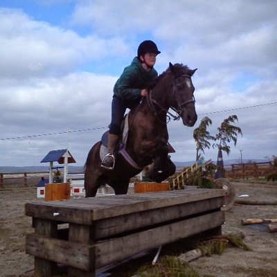 Tommy O Sullivan Profile