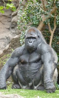 mata2san's profile picture. さて