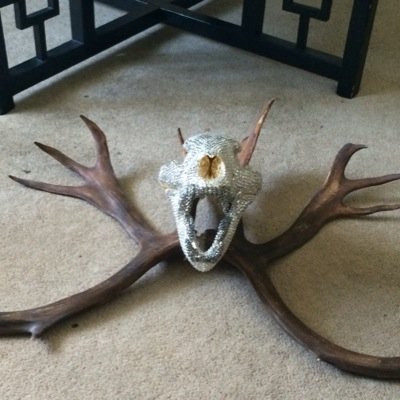 An artist in Alaska and a devoted bohab of GWAR