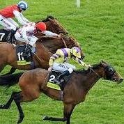 mdblakey11's profile picture. Handicap Trade Secrets

Advanced Form Analysis