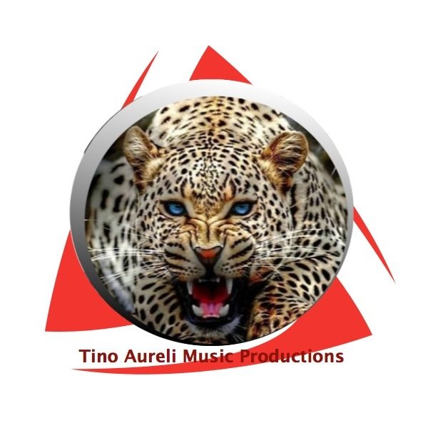 tinoaureli's profile picture. Music composer focused primarily on instrumental music for Games, Film and TV